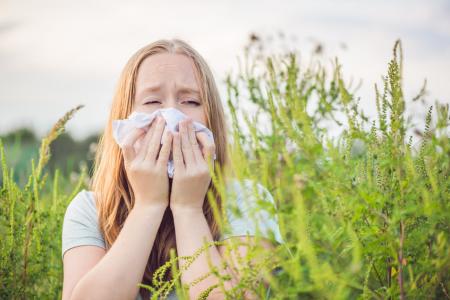 Hooikoorst allergie therapie bachbloesem.jpg