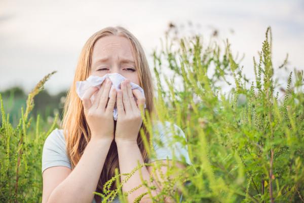 Bachbloesems bij allergie + 8 natuurlijke tips bij hooikoorts