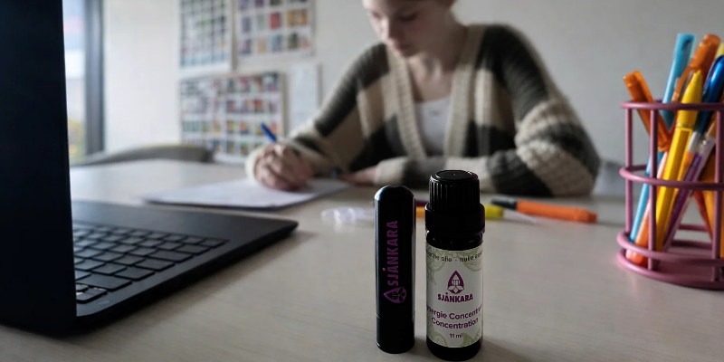 synergie concentratie.png