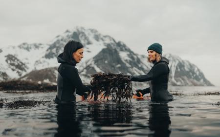 Lofoten Seaweed, oprichtsters, morten munthe