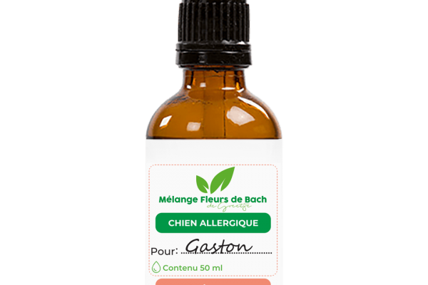 Utilisation et dosage des Fleurs de Bach chez les chiens