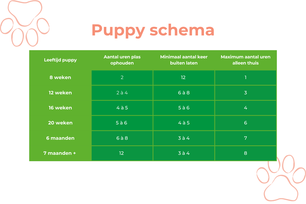 Schema puppy- puppy opvoeden.png