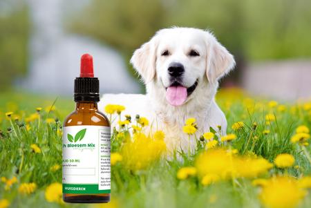 Bachbloesems mix op maat  honden