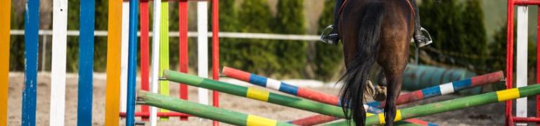 Bach Bloesem Mix Stress paard