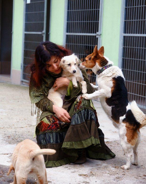 Trauma hond rescue dog Bach bloesem.jpg