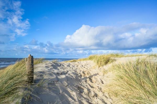 5 Tips omgaan met verdriet en verlies