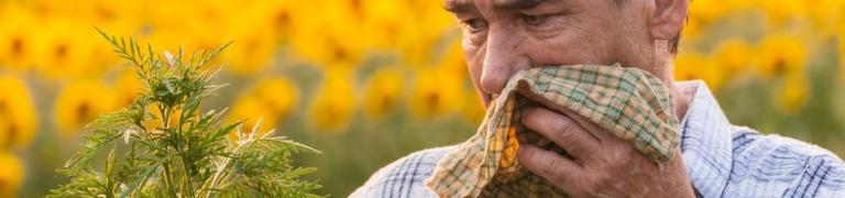 Bachblütenmischung Allergie & Heuschnupfen