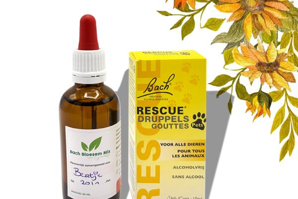 Wat is het verschil tussen Bach Rescue en Bach Bloesem Mix?