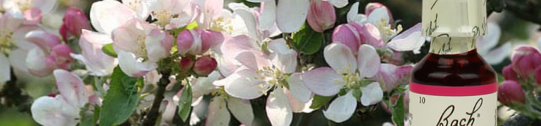 Bachbloesem Crab Apple - Appel
