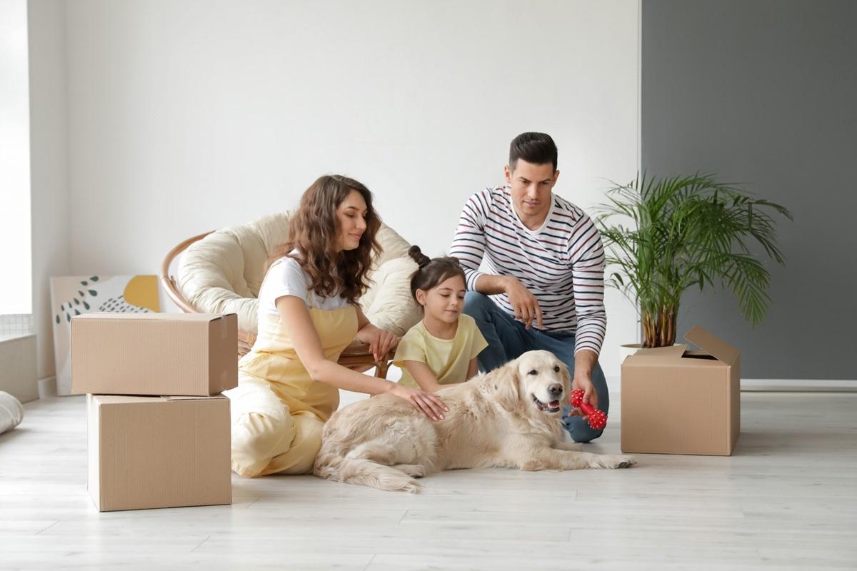 Hund an neue Wohnung gewöhnen.jpg