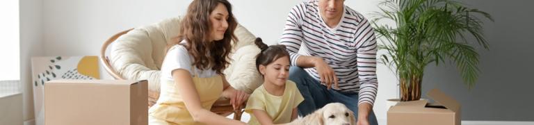 Hund an neue Wohnung gewöhnen: Mögliche Probleme & meine Tipps