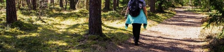 Zecken bei Hunden: Richtiges Vorbeugen und Handeln bei Zeckenbiss