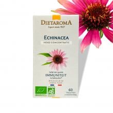 Dietaroma Echinacea - actieve stoffen voor je immuniteit