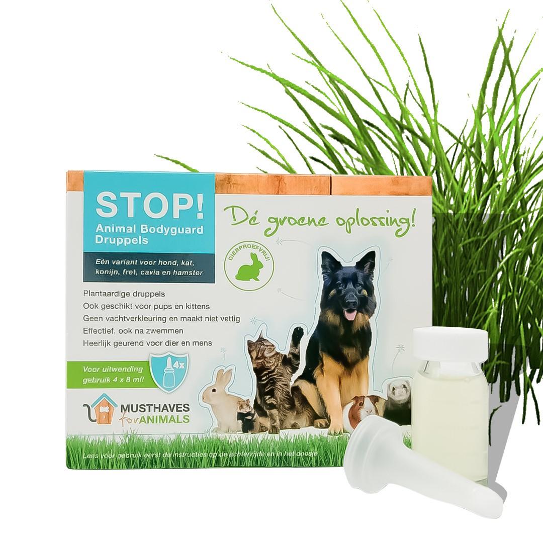 Natuurlijk middel tegen vlooien en teken bij honden