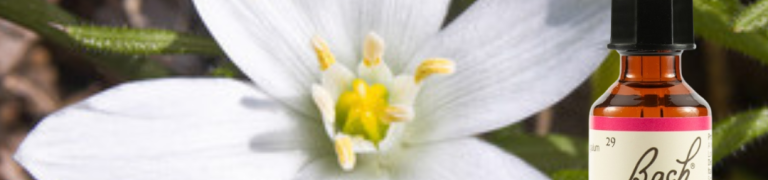 Bach Bloesem Mix Star of Bethlehem - Vogelmelk