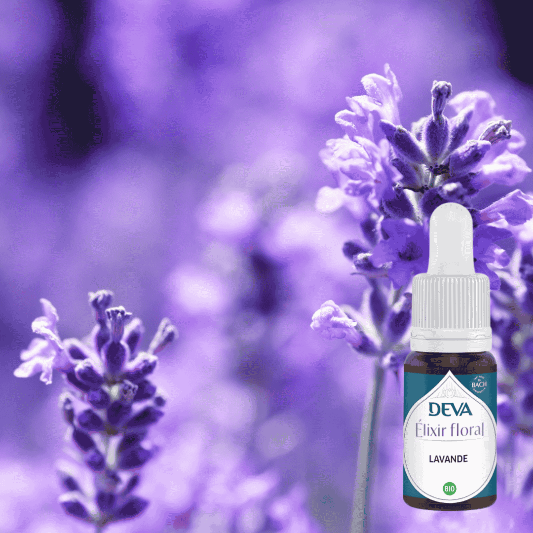 Bloesemremedie Lavendel 50 ML Bach Bloesem Mix van Greetje .jpg