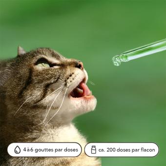 Gebruik_Dosering_Kat_FR.jpg