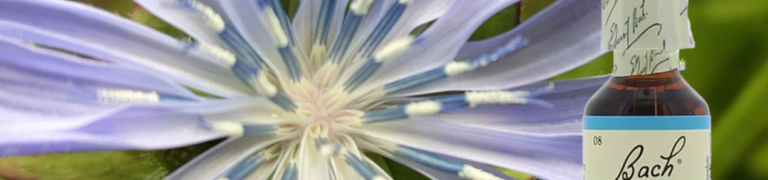 Bach Bloesem Mix Chicory - Cichorei