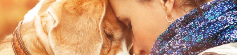 Het gedrag van je hond na de scheiding