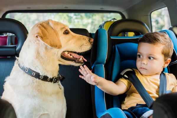 Urlaub mit Kind und Hund: So planen Sie Ihren Urlaub richtig
