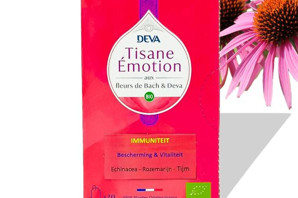 Tisane immunité: défense naturelle et équilibre intérieur