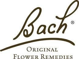 bach.jpg