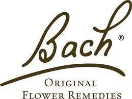bach.jpg