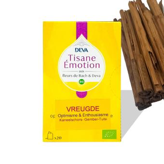 Deva Thee Vreugde - 20 stuks - kaneelschors en gember .jpg