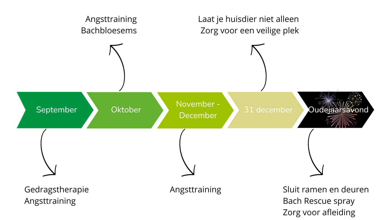Schema vuurwerkangst afleren hond. png