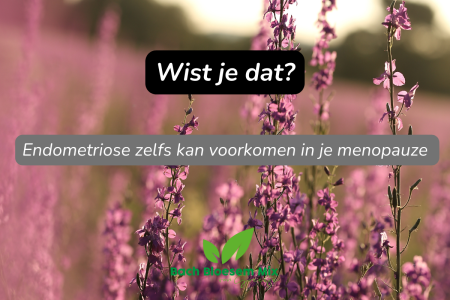 Blog endometriose_wist je dat.png