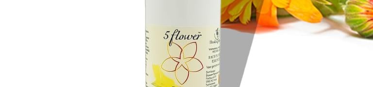Die Floh- und Zeckensaison hat wieder begonnen! Was ist zu tun? Tipps