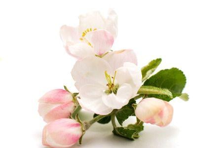 38495016-s.jpg